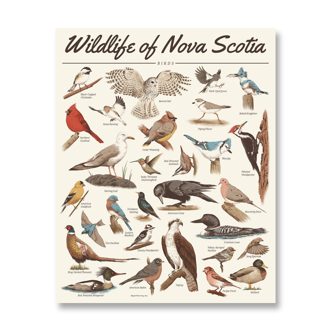 Wildlife of Nova Scotia: Birds Print