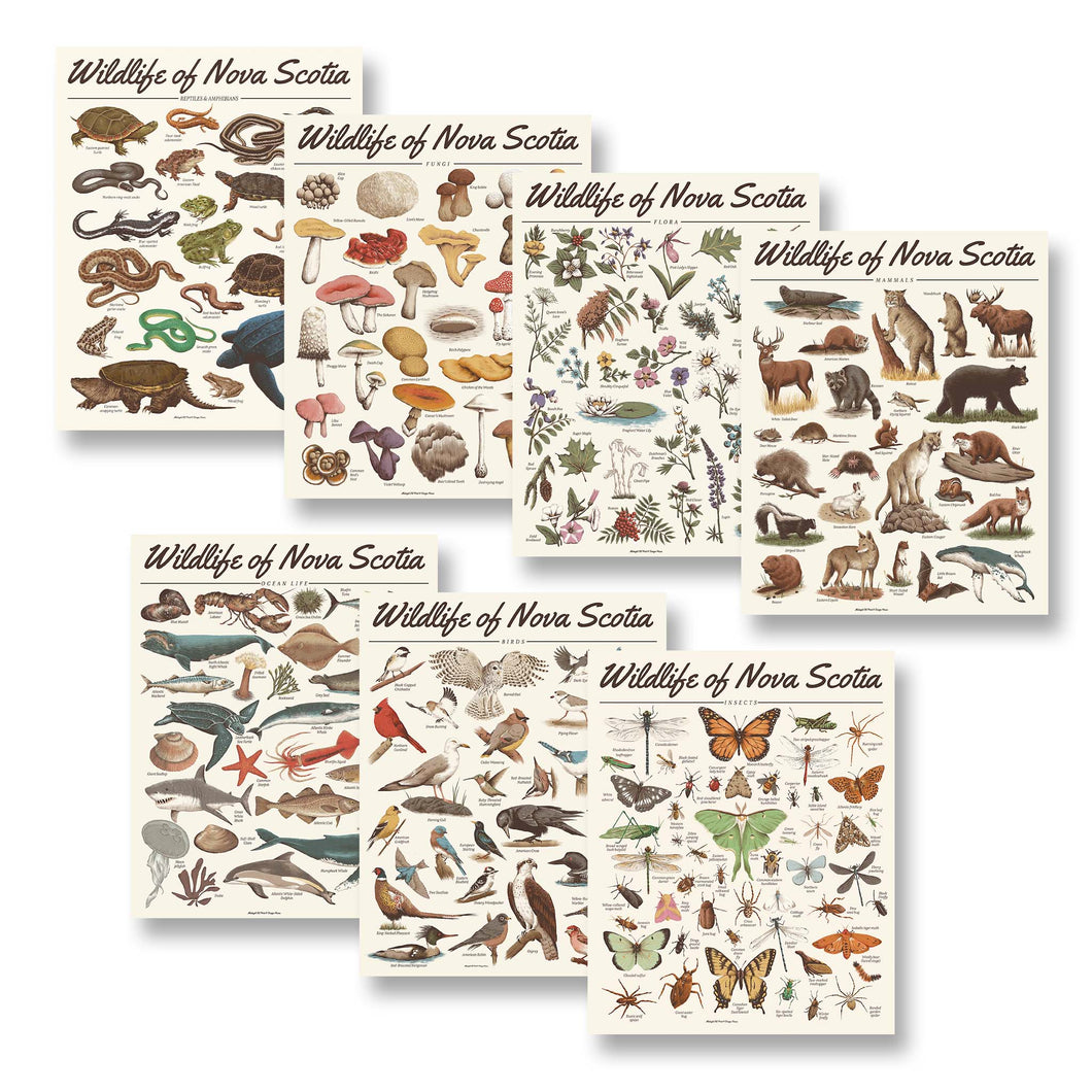 Wildlife of Nova Scotia: Set of 7 PRE-ORDER