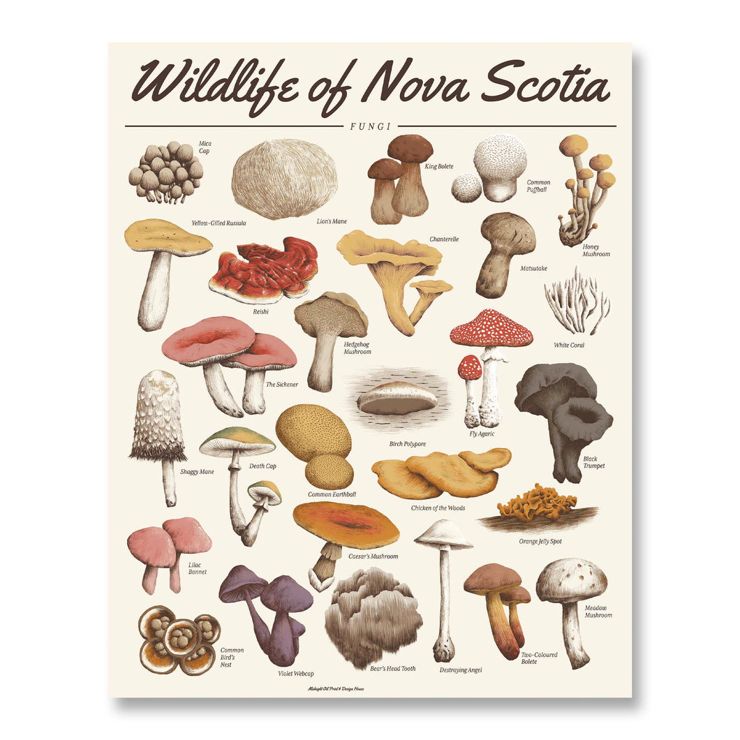 Wildlife of Nova Scotia: Fungi Print